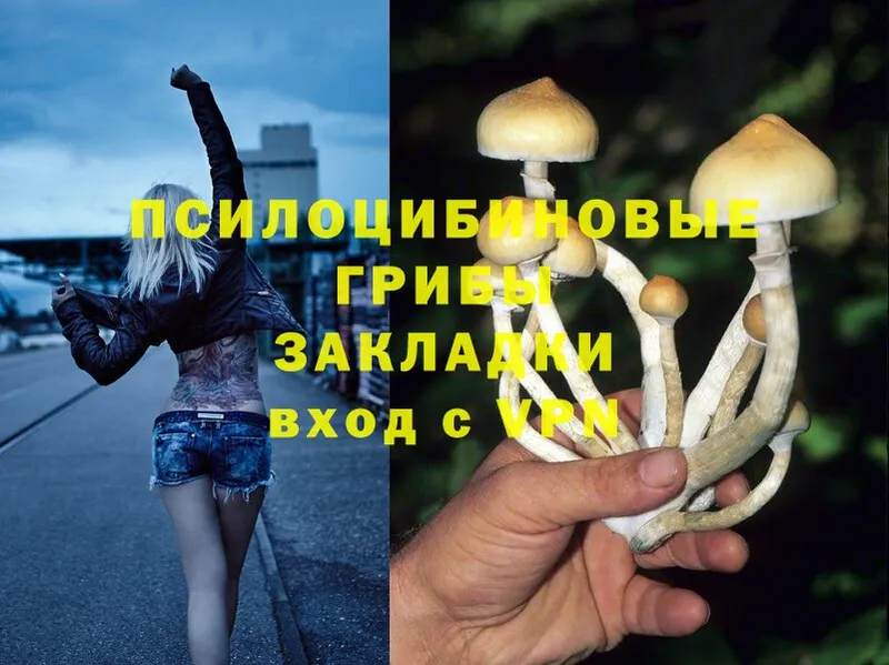 Галлюциногенные грибы Psilocybine cubensis  ОМГ ОМГ зеркало  Чистополь 